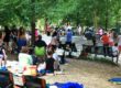 concerts in the park - mlpa